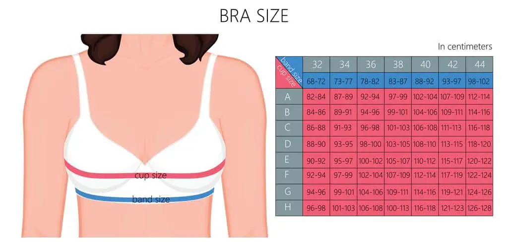 Vector illustration of a woman breast in bra. bra size table